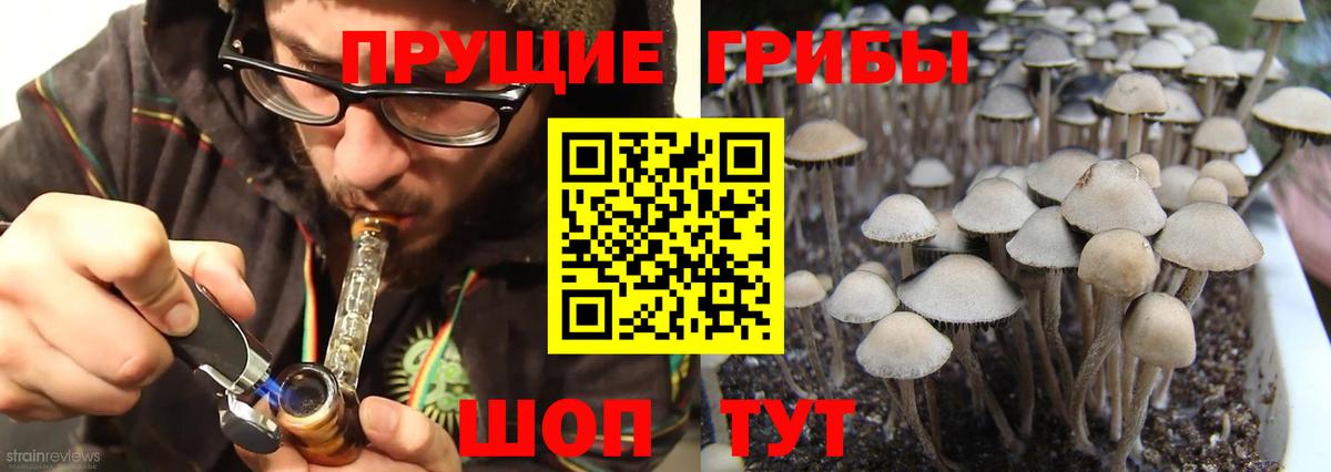 Галлюциногенные грибы ЛСД  Галлюциногенные грибы Cubensis  Вход с VPN  Кубинка 